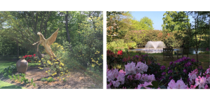 Ashton Grange Landscape