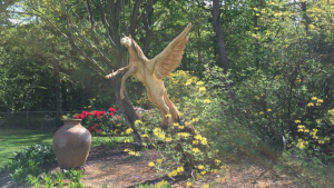 Our event was hosted at the beautiful Ashton Grange gardens