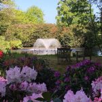 The beautiful Ashton Grange gardens