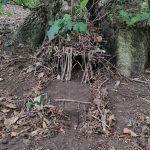 One of the Forest School activities